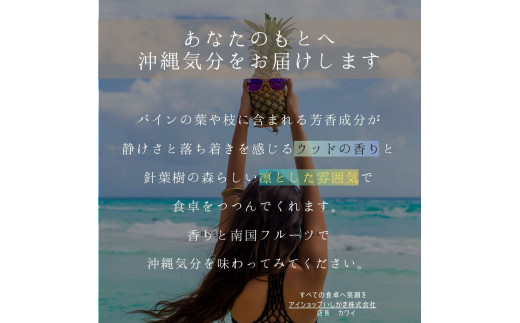 ＜先行予約＞石垣島産・大玉ピーチパイン 6玉 約6.0kg ＜2026年5月以降発送＞【 沖縄県石垣市 石垣島 フルーツ 果物 パイン パインアップル パイナップル 産地直送 】SI-038 大玉 6