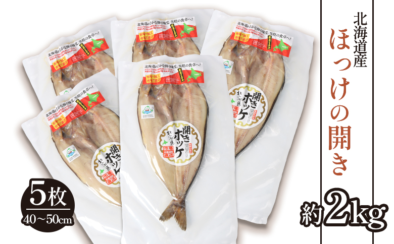 「豊富な旨み」北海道産 ふっくらとしたホッケの開き5枚 40cm～50cm 約2kg【25003】