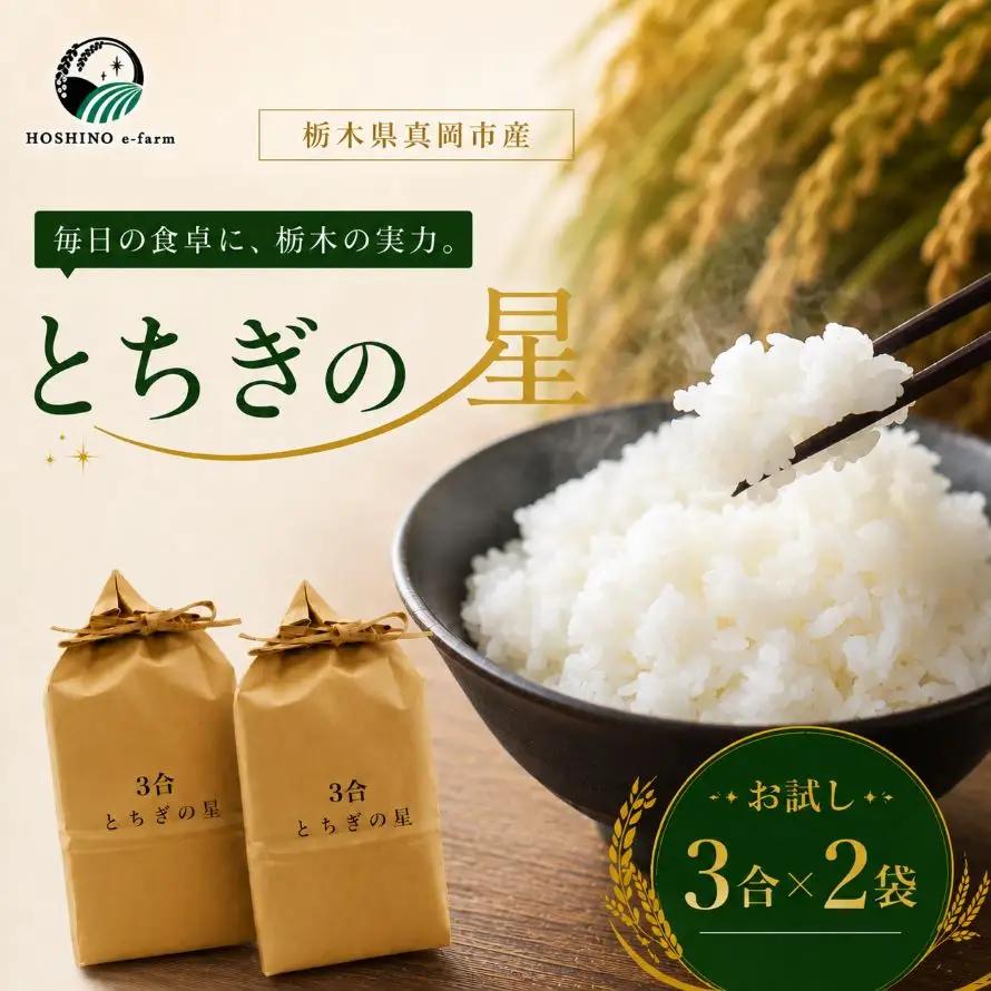 令和7年産 真岡市産 とちぎの星（お試しサイズ） 米 3合×2袋 | お米 送料無料