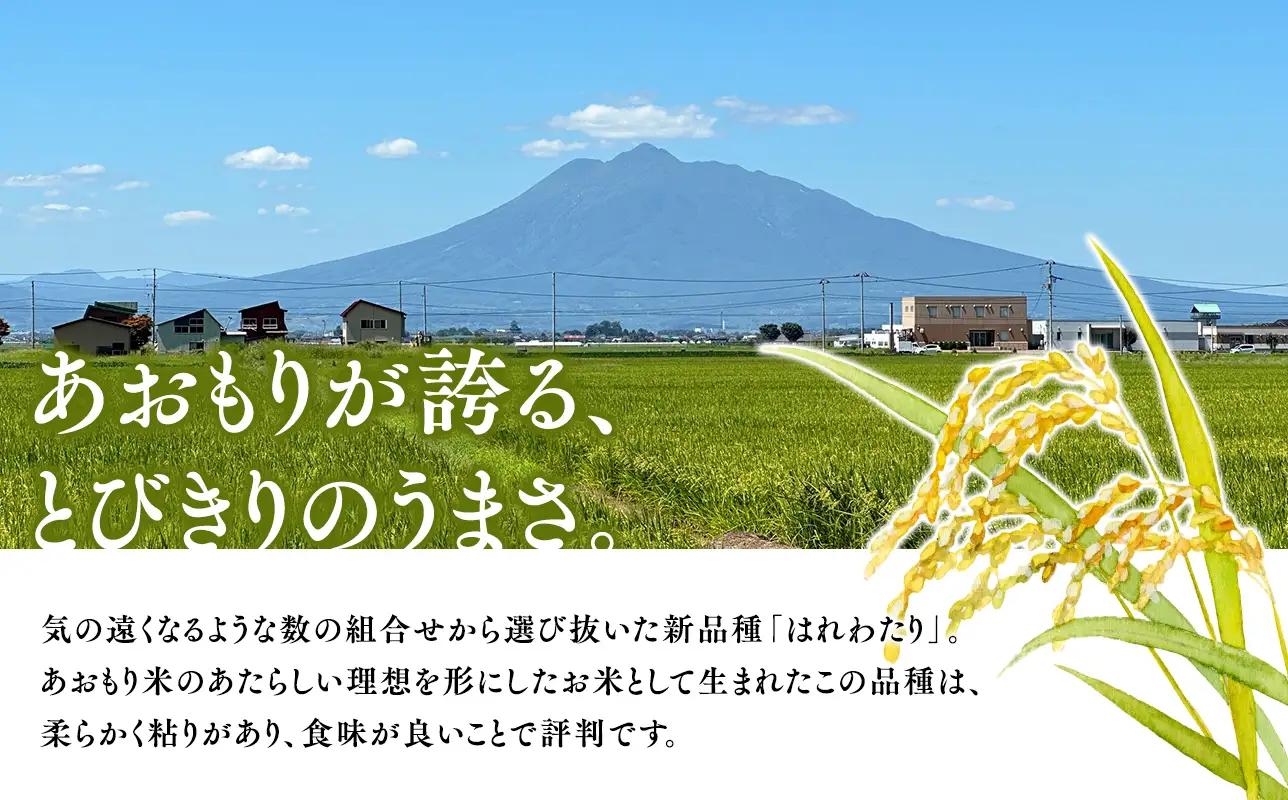 ≪令和8年産 先行予約≫1月中旬よりお届け! 　特別栽培米 はれわたり玄米30kg(10㎏×3袋)【青森県 平川市】先行予約 米 お米 玄米 青森県産 産地直送 おにぎり 朝ご飯 冷めてもおいしい ご