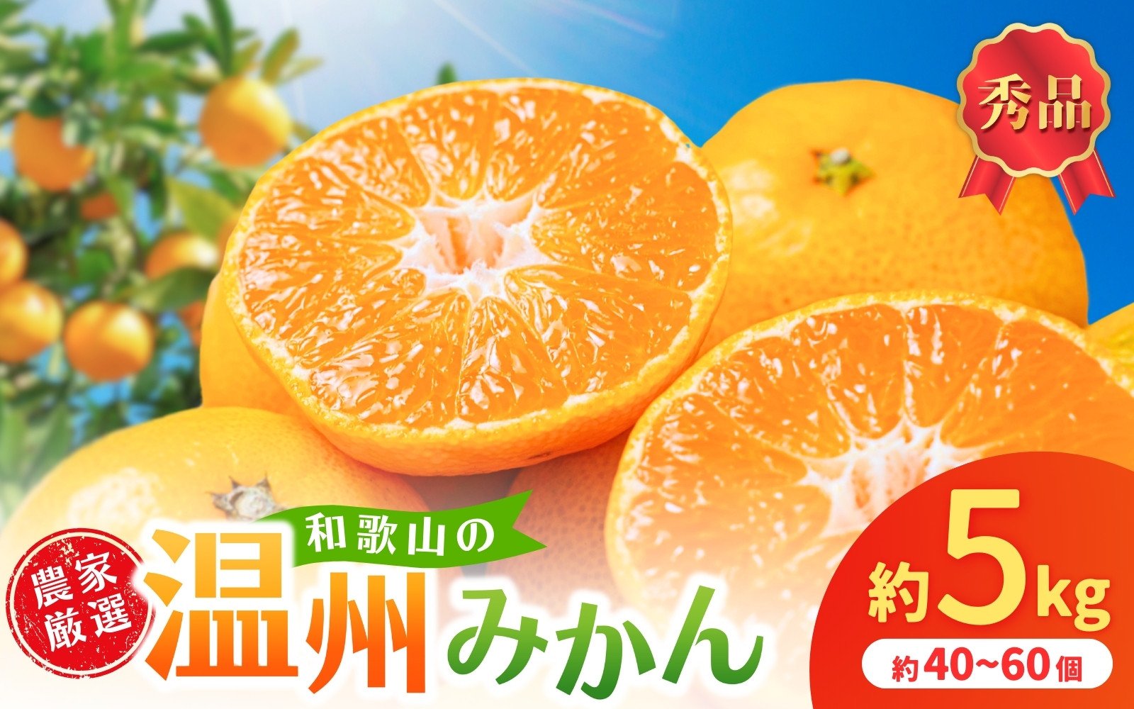 
            和歌山県産温州みかん　秀品　約5kg（約40個～60個入）【先行予約】【2025年11月初旬頃から2026年1月中旬頃順次発送予定】 / みかん フルーツ 果物 柑橘 和歌山【kgr032】
          