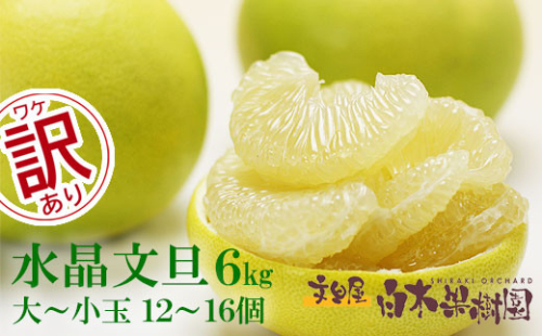 【先行予約】水晶文旦 ご家庭用お得箱 約6kg Mサイズ～4Ｌサイズ（12～16個入り）〈2026年10月上旬～11月上旬頃発送〉  /  訳あり ワケあり 訳 傷 キズ へこみ 文旦 ブンタン ぶんたん 水晶文旦 果物 柑橘【白木果樹園】 [BQAI022]