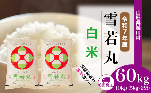 ＜令和7年産米＞ 山形県産 雪若丸 【白米】60kg定期便(10kg×6回)　配送時期指定できます！