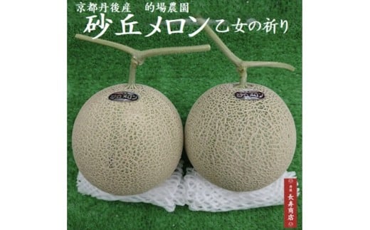 【先行予約】京都丹後久美浜産　砂丘メロン【オトメの祈り】　2Lサイズ／2玉入（2026年7月中旬～発送）　LP00004