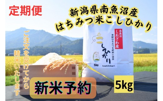 
                  【令和8年産・新米予約・定期便】新潟県南魚沼産（塩沢地区）はちみつ米コシヒカリ 5kg×12か月　※蜂蜜発酵液肥料栽培【定期便 銘柄米 ブランド米 精米 こしひかり】【2026年9月下旬より1ヶ月以内に順次発送予定】
                