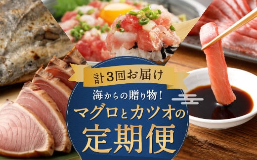 【3回定期便】海からの贈り物！マグロとカツオの定期便 まぐろ カツオのたたき ネギトロ 中トロ 刺身 海鮮 鰹 冷凍 コロナ 魚 海産物 魚介類 高知県 まぐろたたき 鮪 緊急支援品 藁焼き わら焼き