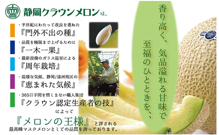 メロン 定期便 12ヶ月 クラウン 山等級 1玉 フルーツ メロン