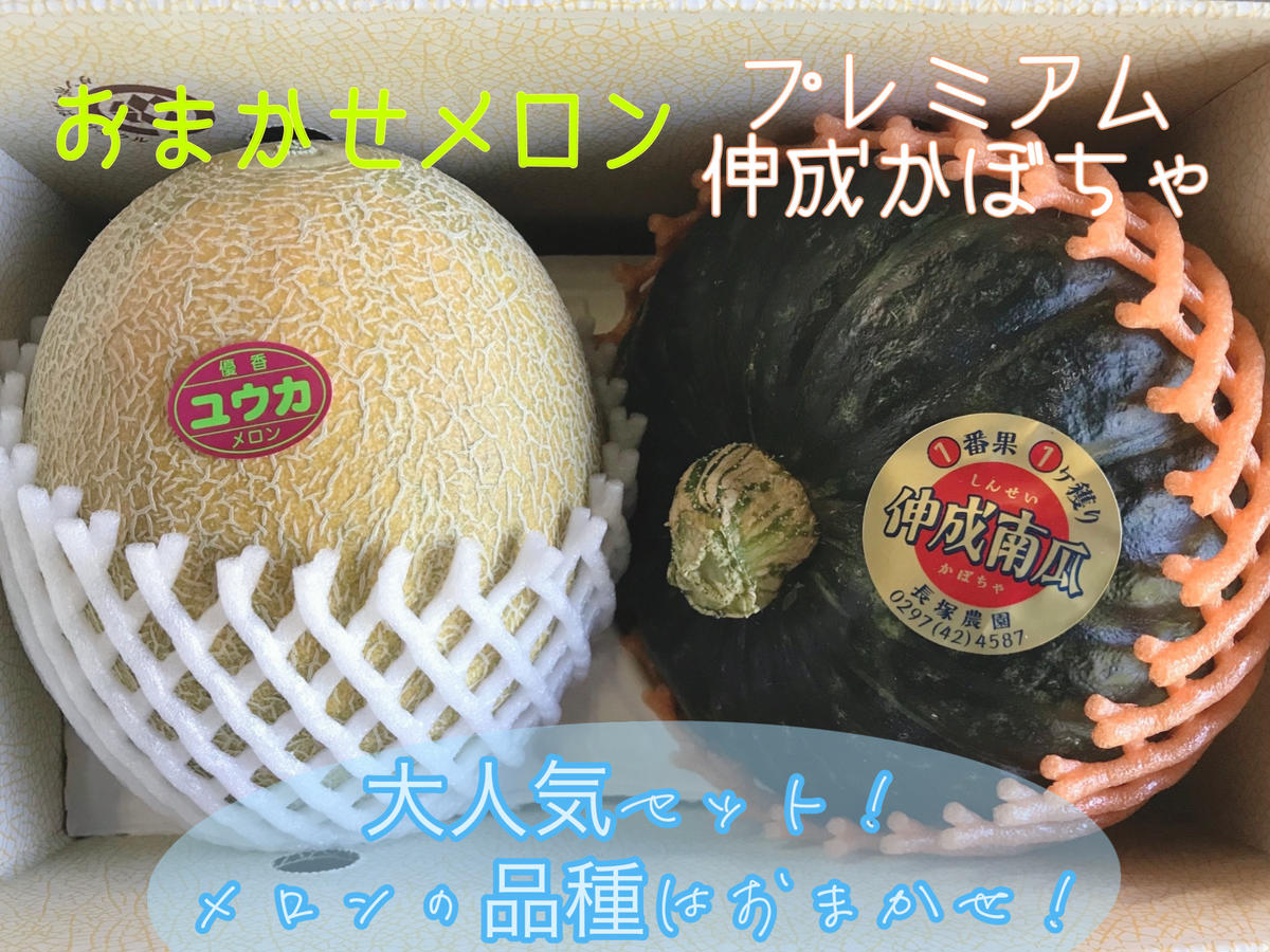 【先行予約】数量限定 令和7年 訳あり プレミアム伸成かぼちゃ・メロン（品種おまかせ） ※2025年7月中旬～7月下旬頃に順次発送予定