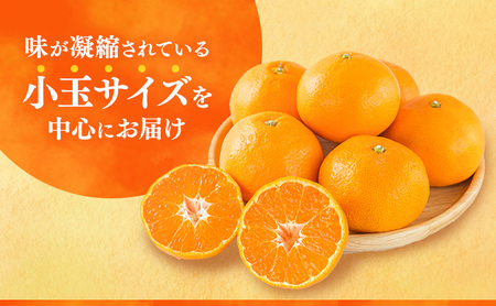 後藤みかん農園 温州みかん 6kg 宮川 片山 果物 くだもの 旬のフルーツ 旬の果物 季節のフルーツ 季節の果物 柑橘 柑橘類 静岡 浜松市