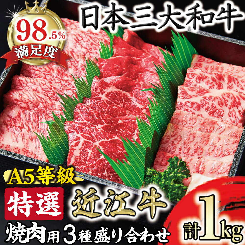 【ふるさと納税】A5等級 未経産雌 特選近江牛おすすめ部位 焼肉3種盛り合わせ 合計1kg 御中元 お中元