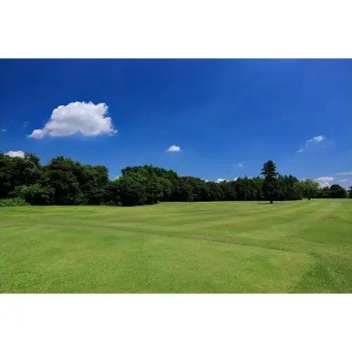 【坂東ゴルフクラブ】ゴルフ場利用券30000円分（寄付金額の3割相当額分） ／ ゴルフ golf GOLF ごるふ ゴルフ場 チケット ちけっと 体験 プレー券 利用券 ゴルフ場利用券 都心から1時間