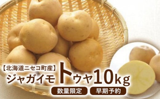【北海道ニセコ町産】ジャガイモ　とうや LMサイズ　10kg　＜数量限定・2025年早期予約・10月より出荷予定＞【0202602】