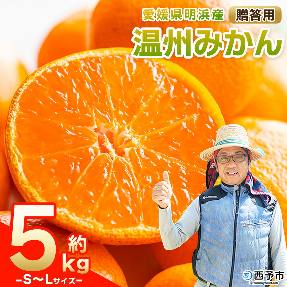 【ふるさと納税】先行予約＜明浜産 温州みかん S～Lサイズ 約5kg 贈答用＞ 果物 くだもの フルーツ 蜜柑 みかん ミカン 柑橘 ギフト うんしゅうみかん 食べて応援 国産 愛媛県産 特産品 俵津農地ヘルパー組合 愛媛県 西予市【常温】『2025年11月から12月迄に順次出荷予定』