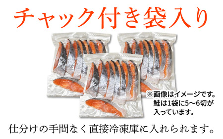 【訳あり品】 塩銀鮭 切身 1.5kg(500g×3パック) | 鮭切り身 鮭   