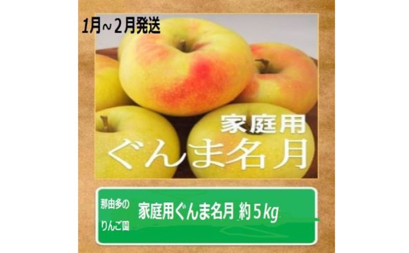 りんご 【1～2月発送訳あり】家庭用 ぐんま名月 約5kg 糖度13度以上（糖度証明書付き）【 弘前市産 青森りんご  果物類 フルーツ スイーツ こだわり 甘い ジューシー 香り 高糖度 美味しい  】