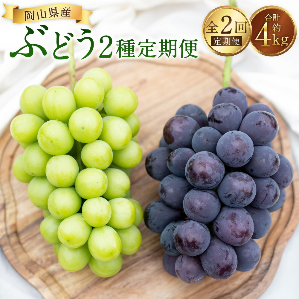 【ふるさと納税】【2回定期便】ピオーネ or オーロラブラック 3～5房（2kg以上）& シャインマスカット 3～5房（2kg以上） マスカット ぶどう ブドウ 葡萄 くだもの 果物 果実 フルーツ ギフト 冷蔵 国産 岡山県産 美咲町 送料無料 【2026年7月下旬から順次発送予定】