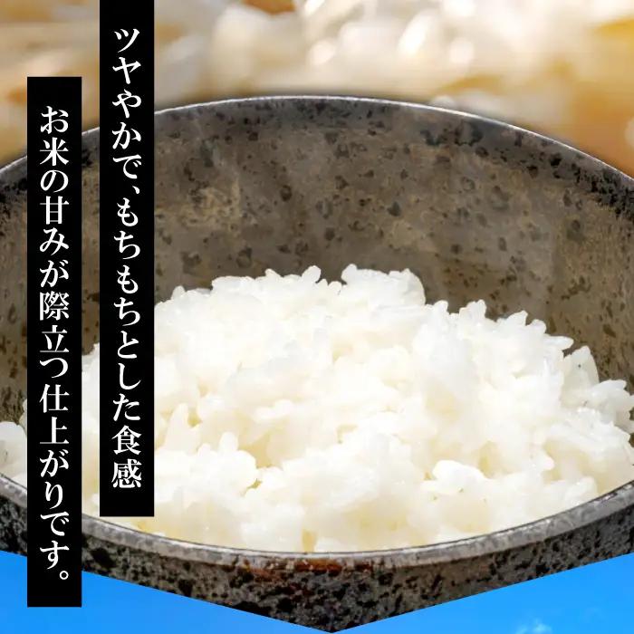 さんべ浮布米（無洗米）定期便（5kg×5回コース）【令和7年産 コシヒカリ 無洗米 5kg 5回 定期 2025年産 こしひかり 5kg×5回 合計25kg 5回定期便 特別栽培米 島根県産 大田市産