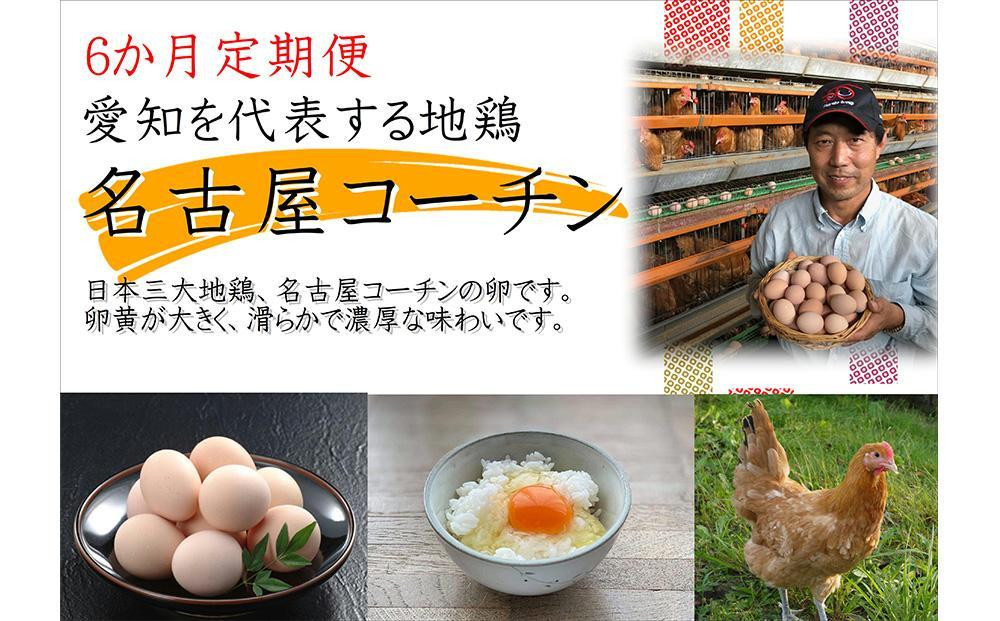 
【6か月定期便】日本三大地鶏！！ 「純系　名古屋コーチンの卵」（30個） 本当に美味しい食べ物は調味料の味に負けません！
