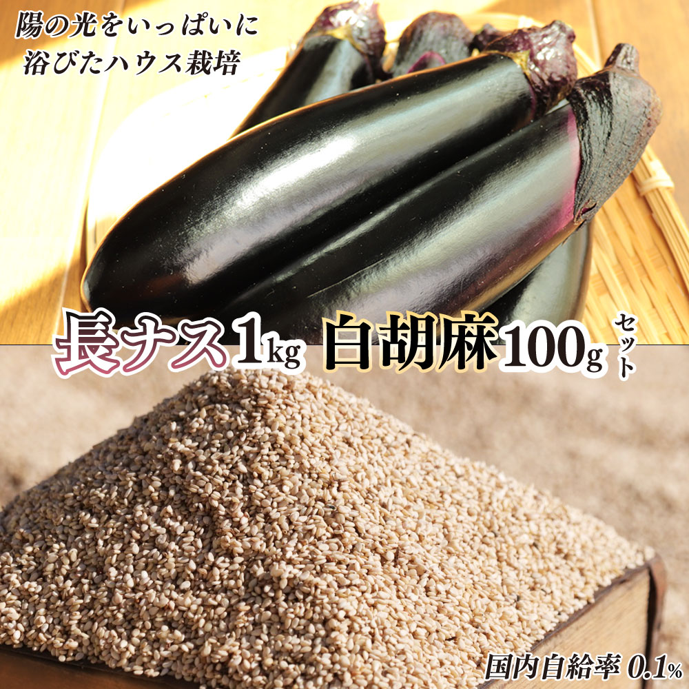 【ふるさと納税】トロ～リ長ナスと国産白ゴマセット｜ 野菜 ナス 茄子 夏秋ナス 長ナス 白ごま ゴマ 胡麻 国産 手作業 煎りたて ごま煎り 体験 擦りたて 強い 香り コク 特産品 栃木県 真岡市 送料無料