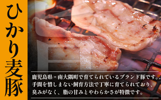 【定期便全3回】ひかり麦豚 プレミアム定期便 ≪月替わりでしゃぶしゃぶ・焼肉・ハンバーグをお届け！≫ 冷凍 HM-11 | 精肉 お惣菜 肉 お肉 にく 豚肉 焼き肉 バーベキュー ロース肉 肩ロース