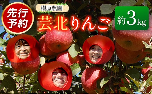 
                  ≪10月中旬以降発送≫りんご 国産 3kg 農家直送 槇原農園 芸北りんご 林檎 トキ 早生ふじ 千秋 シナノドルチェ シナノスイート ぐんま名月 シナノゴールド ふじ_MA077_001
                