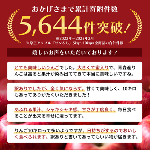1月発送 家庭用 サンふじ 約10kg【訳あり】【原正りんご 青森県産 津軽産 リンゴ 林檎】 果物類 希少 葉取らず 完熟 安心 丸かじり 甘い 高糖度 