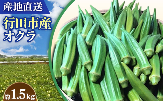 【産地直送】行田市産オクラ　大容量1500g No.396