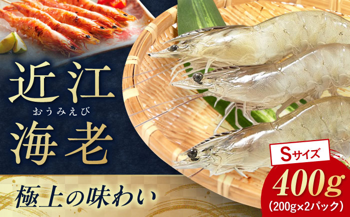 
            近江海老 Sサイズ 400g 滋賀県長浜市/ワボウ電子株式会社 [AQBA008] エビ 海老 えび 海鮮 魚介類 魚貝類 魚介 下処理不要 冷凍 業務用 小分け 国産 刺身 刺し身  近江海老 新鮮 直送 高級 名産 ぷりぷり 甘い 刺身 天ぷら 海鮮丼 鍋料理 海老しゃぶ 魚介 贈答用 人気 特産 料理素材 お取り寄せ 地元産 丸ごと
          