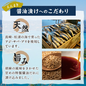 【海鮮丼セット】松浦アジフライ8枚と海鮮醤油漬け3種 アジフライ 漬け丼【B0-245】