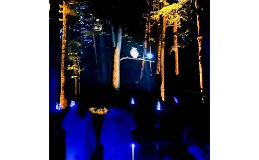 阿寒湖の森ナイトウォーク「KAMUY LUMINA (カムイルミナ)」入場券 大人1枚 小人1枚 体験 アクティビティ プロジェクションマッピング デジタル体験 アイヌ 文化 自然 森林浴 美容 アウ