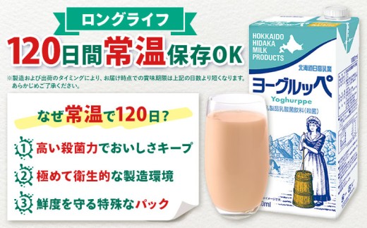 【9ヶ月定期便】ロングライフ 常温保存可能 ヨーグルッペ 1000ml 12本 全9回 定期便 日高乳業 《お申込み翌月から出荷》 北海道 日高町 ふるさと納税 乳酸菌飲料 常温 備蓄 ストック 1L