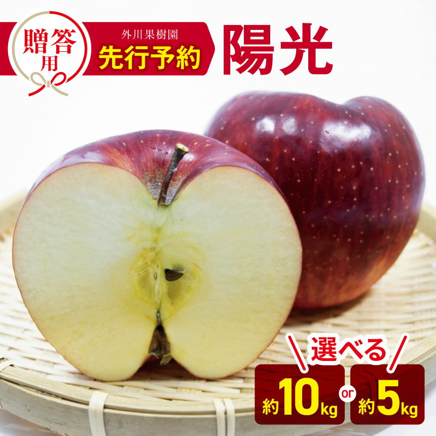 【ふるさと納税】*【2025年先行予約】 外川果樹園 贈答用 陽光 約 10kg or 約 5kg ｜ リンゴ りんご 林檎 果物 フルーツ 果実 果汁 陽光 ようこう ギフト 贈答用 長野県 松川村 信州