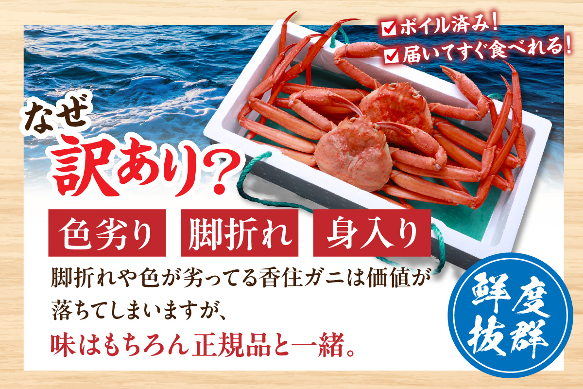 【香住ガニ 釜茹で ボイル 大きめ 約600g×2匹（約1.2kg以上）冷蔵】【先行予約】令和7年9月中旬以降順次発送予定 大人気 人気 ランキング ふるさと納税 返礼品 おすすめ 国産 しゃぶ かに