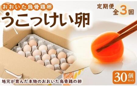 【定期便 全3回】大分うこっけい卵（生食用３０個） | うこっけい