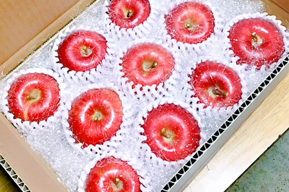 【25年12月〜発送】りんご サンふじ 贈答用 約3kg しらかみラボ