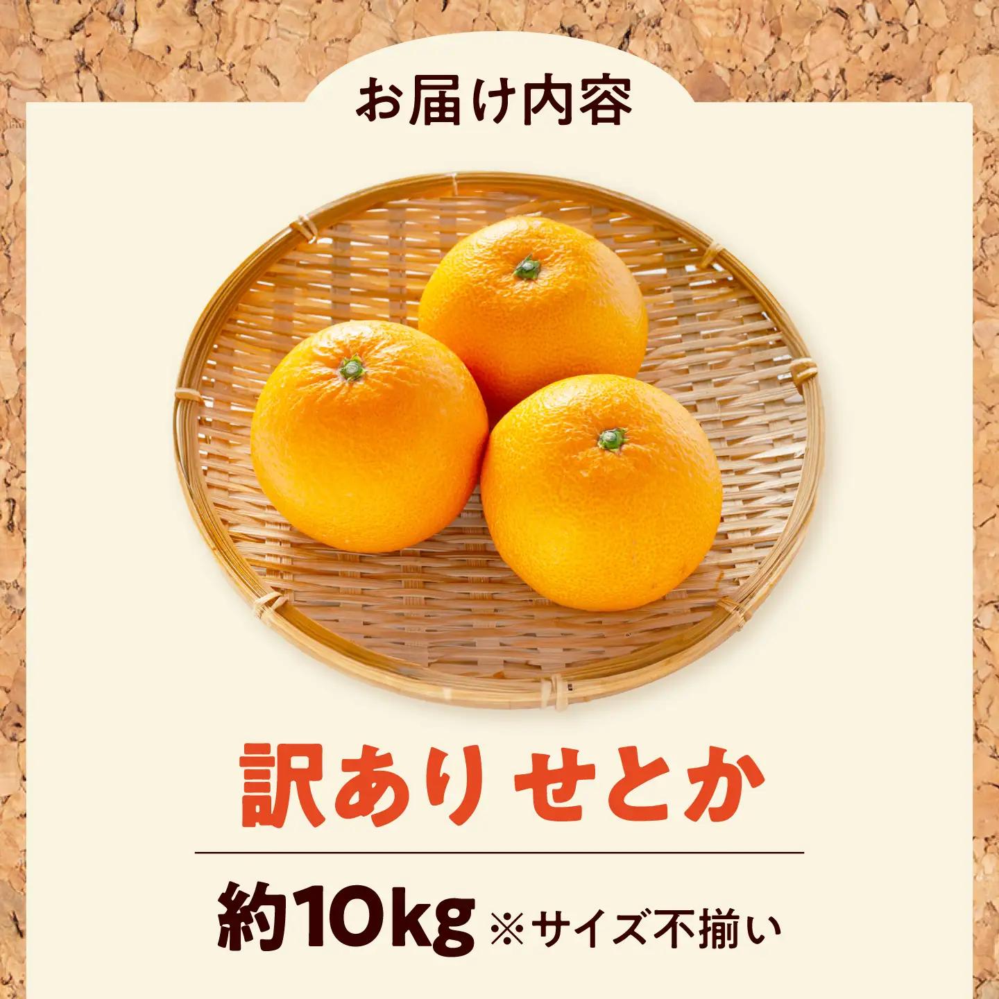 みかん 訳あり せとか 約10kg サイズ不揃い みかん BJAZ023 