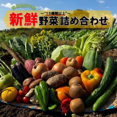 ふるさと納税 安中市 四季折々の新鮮野菜詰め合わせ　旬をお届け!【15種類以上】