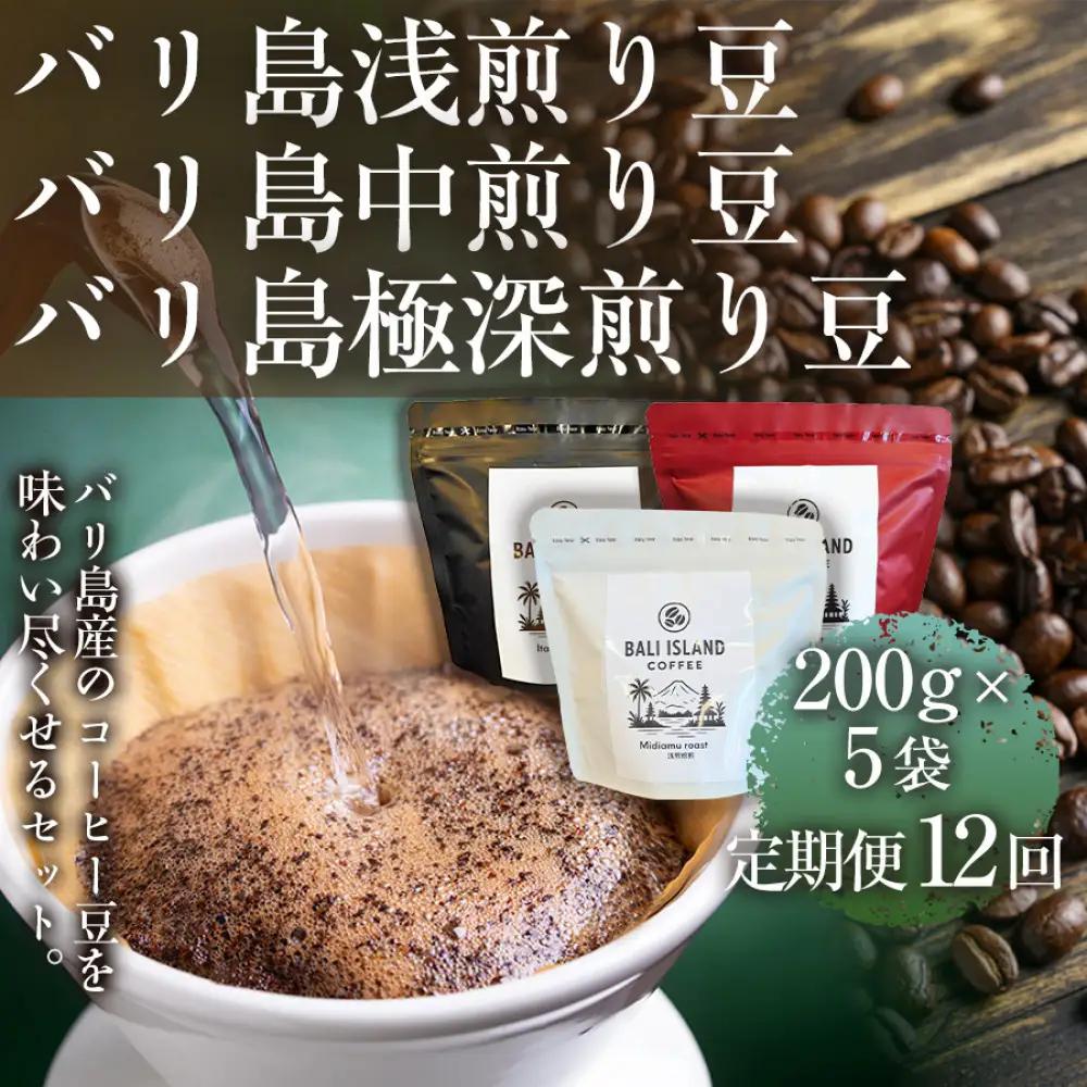 【定期便全12回】[バリ島浅煎り 200g][バリ島中煎り 200g][バリ島極深煎り 200g]各5袋 1セット コーヒー豆 珈琲豆 深煎り焙煎 コーヒー 珈琲 ドリップコーヒー スペシャルティコー