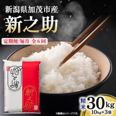 ふるさと納税 加茂市 【発送月固定定期便】新之助　精米30kg　2026年10月上旬より順次発送全6回