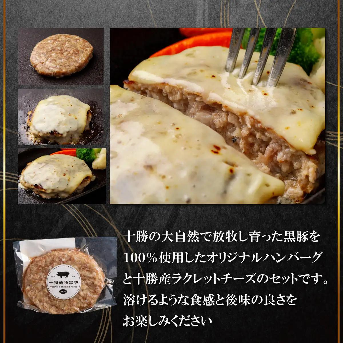 【定期4ヶ月】黒豚無添加ハンバーグ＆十勝産ラクレットチーズ 150g×6+84g SKN118