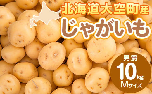 
じゃがいも(男爵) Mサイズ 10kg 大空町産 【 ふるさと納税 人気 おすすめ ランキング じゃがいも ジャガイモ いも 芋 男爵 10kg M サイズ カレー 北海道産 野菜 旬 北海道 大空町 送料無料 】 OSR013
