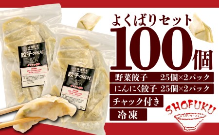 【価格改定予定】餃子 野菜 にんにく 100個 25個 4パック ジューシー セット ハーフ 冷凍 個分け ガッツン餃子 松福 国産 豚肉 おつまみ （ 餃子 野菜餃子 にんにく餃子 餃子セット 冷凍
