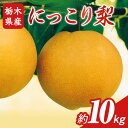 【ふるさと納税】N06 梨 なし にっこり梨 10kg フルーツ 先行予約 2024年 10月 中旬頃 栃木県