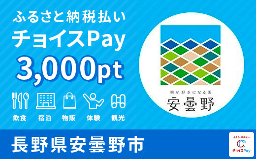 
安曇野市チョイスPay 3,000pt（1pt＝1円）【会員限定のお礼の品】
