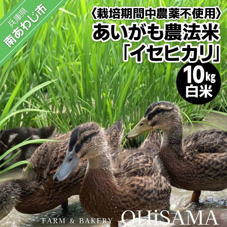 【ふるさと納税】令和7年産　イセヒカリ　10kg（5kg×2）　白米〈栽培期間中農薬不使用　あいがも農法米〉