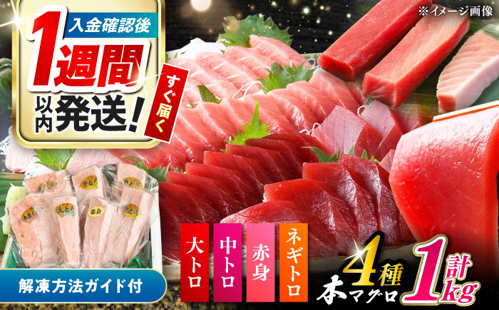 対馬産 本マグロ 4種 計1kg（赤身/中トロ/大トロ/ネギトロ）《対馬市》【対海】[WAH004] マグロ まぐろ 鮪 本鮪 本マグロ 養殖 トロ 中トロ 中とろ 大トロ 大とろ 赤身 ねぎとろ ネ