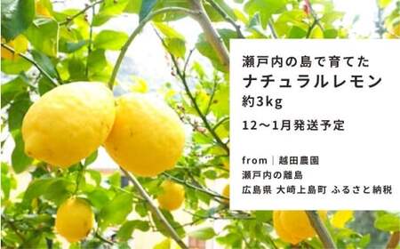 [12～1月発送] 大崎上島産 越田農園のナチュラルレモン 約3kg