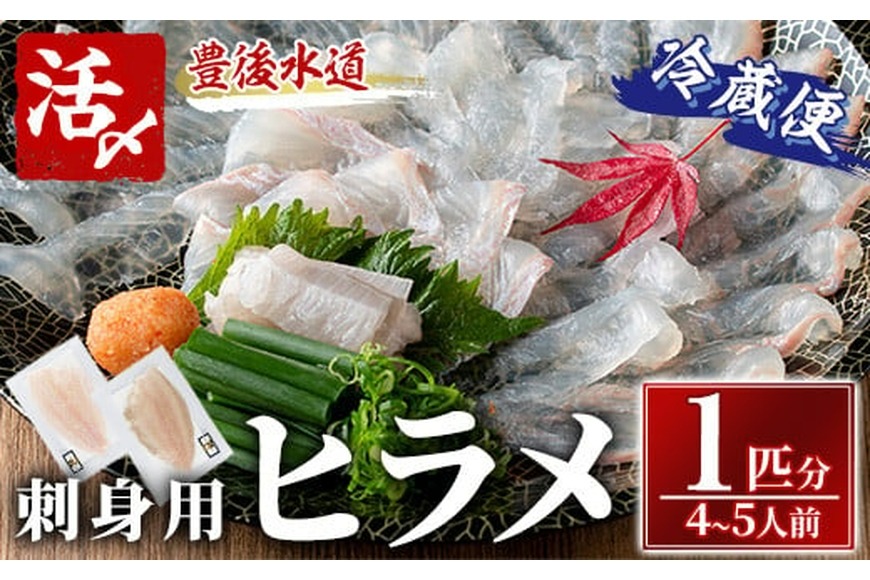 ヒラメ 刺身用 ブロック 冷蔵(1匹分・4-5人前) ヒラメ ひらめ 鮃 神経締め 獲れたて 鮮魚 ブロック 刺身 冷蔵 海の直売所 大分県 佐伯市【AS135】【海べ】