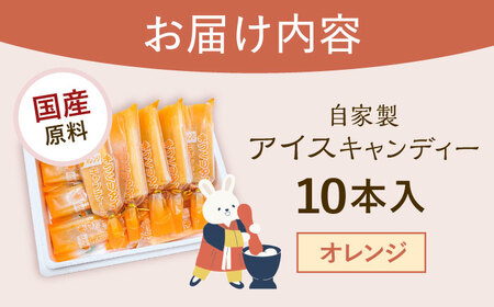 【手作りアイス】 オレンジ アイスキャンディー 10本入り 無香料 無着色 多治見市 / エイシン アイス 詰め合わせ 無添加 自家製[THD008]