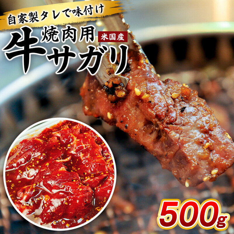 【ふるさと納税】自家製タレで味付け焼肉用牛サガリ(米国産)500g FY25-236